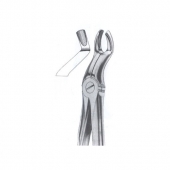 Extarcting Forceps 